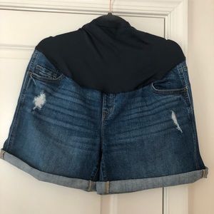 Maternity Shorts